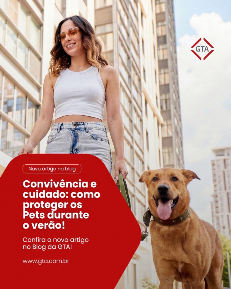 Convivência e cuidado: como proteger os pets durante o verão